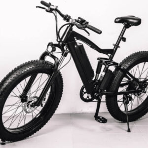 Adult Electric Bicycle (Spain)