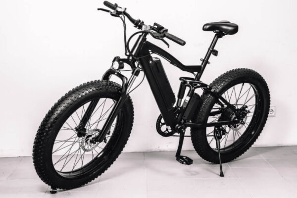 Adult Electric Bicycle (Spain)